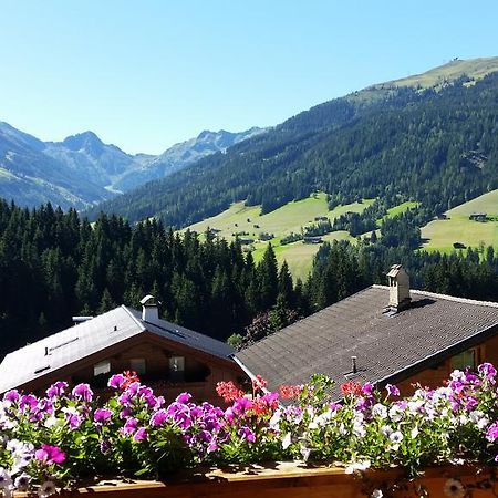 Hanslerfeld Alpbach Kültér fotó