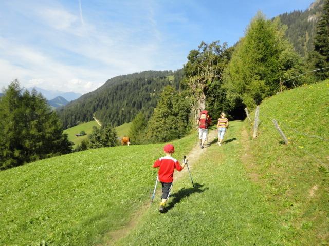 Hanslerfeld Alpbach Szoba fotó