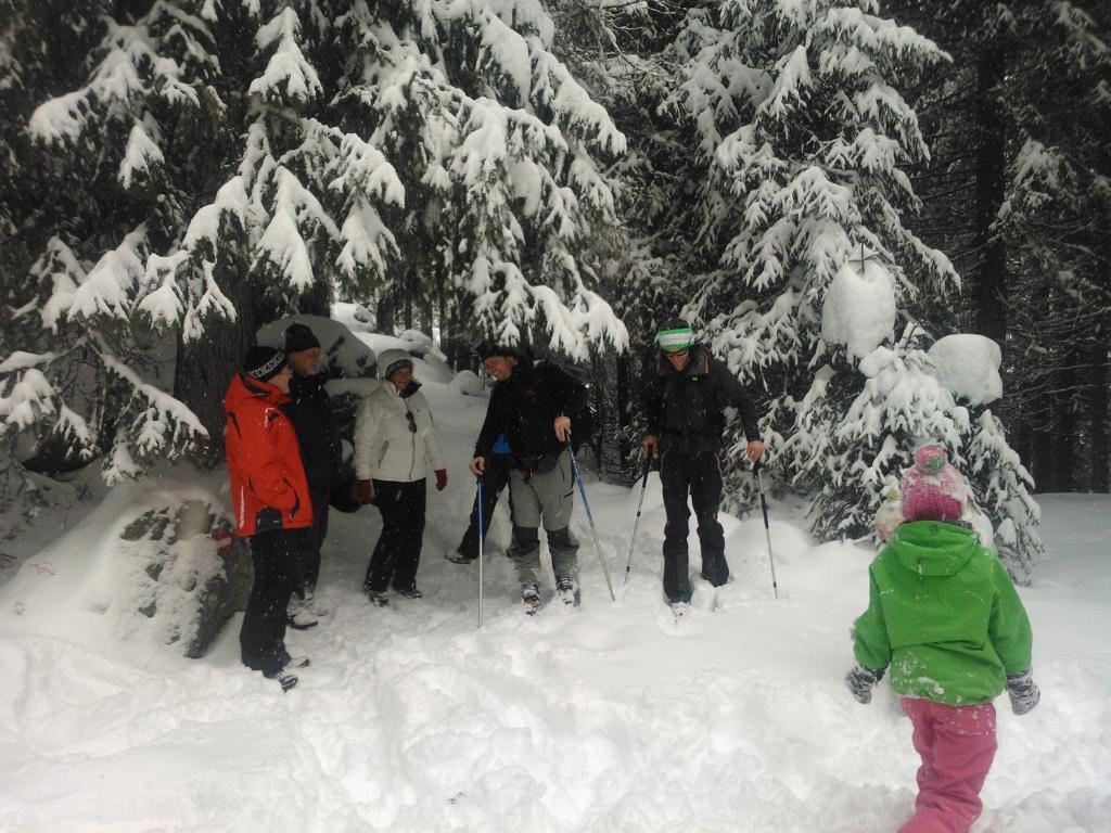 Hanslerfeld Alpbach Kültér fotó