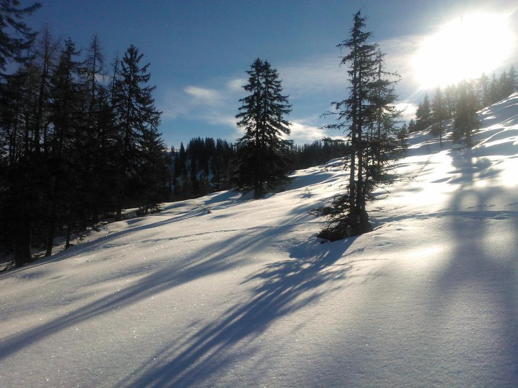 Hanslerfeld Alpbach Kültér fotó