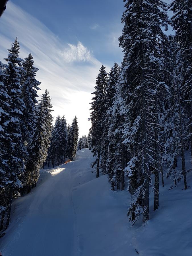Hanslerfeld Alpbach Kültér fotó
