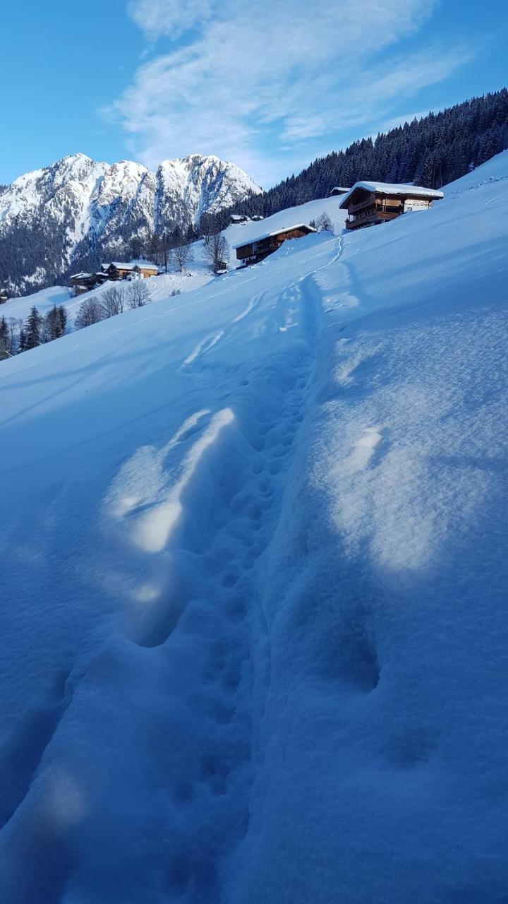Hanslerfeld Alpbach Kültér fotó