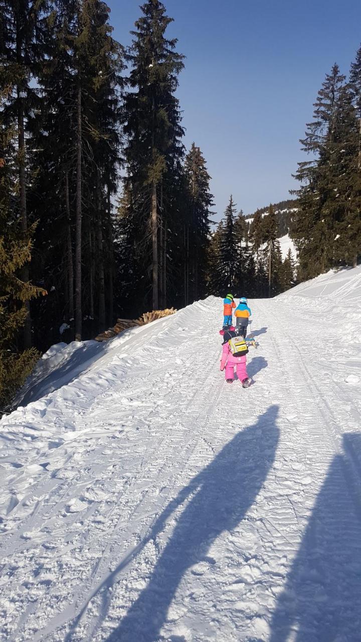 Hanslerfeld Alpbach Kültér fotó