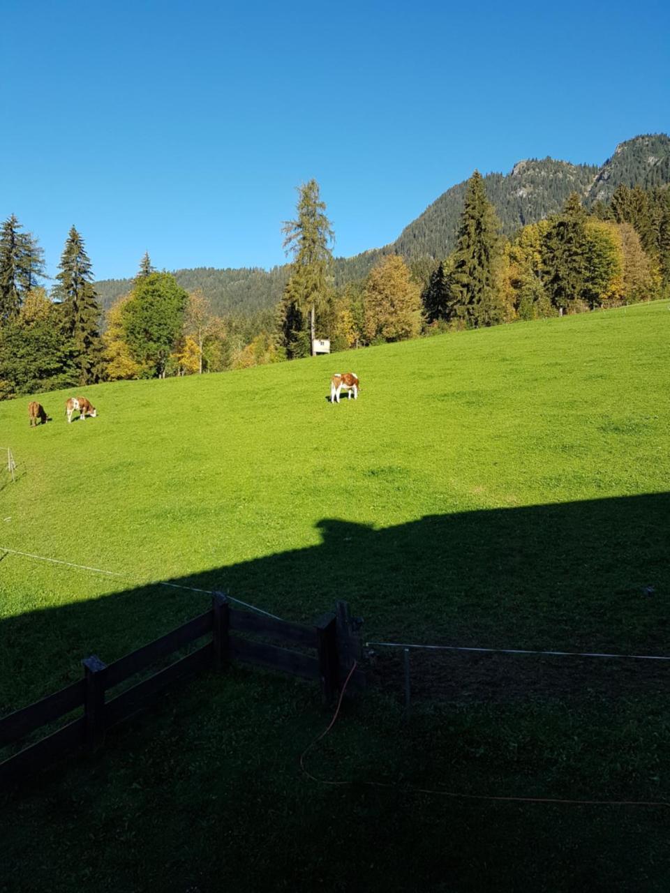 Hanslerfeld Alpbach Kültér fotó